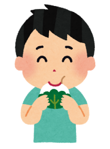 kashiwamochi_boy