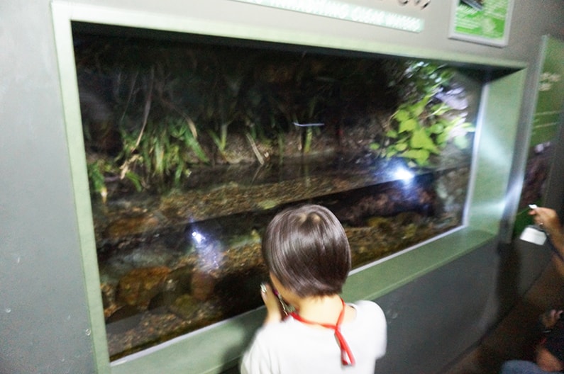アクアトト岐阜の夜の水族館に参加したよ！食事＆解説付きで最高！